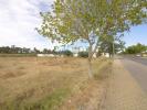 Annonce Vente Terrain VILA-REAL-DE-SANTO-ANTONIO