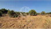 Annonce Vente Terrain FARO