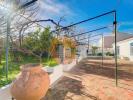 Acheter Terrain 276 m2 VILA-REAL-DE-SANTO-ANTONIO