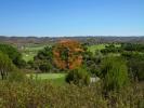 Acheter Terrain VILA-REAL-DE-SANTO-ANTONIO rgion FARO