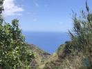 Vente Maison ARCO-DA-CALHETA 9370