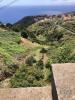 Annonce Vente Maison ARCO-DA-CALHETA