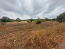 Acheter Terrain 3320 m2 SAO-BRAS-DE-ALPORTEL