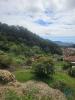 Acheter Terrain 3940 m2 MACHICO