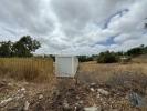 Acheter Terrain 6000 m2 TAVIRA