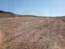 Acheter Terrain 20606 m2 VILA-DO-BISPO