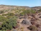 Annonce Vente Terrain VILA-DO-BISPO