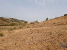 Acheter Terrain 32040 m2 ALDEIA-RUIVA