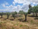 Acheter Maison SANTAREM rgion SANTAREM