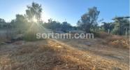 Annonce Vente Terrain LOULE