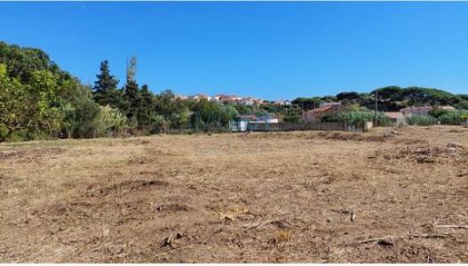 Acheter Terrain 11452 m2 Cascais