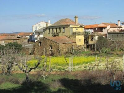 Acheter Maison Alfandega-da-fe rgion BRAGANCA