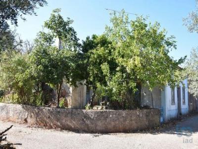 Annonce Vente Maison Ferreira-do-zezere