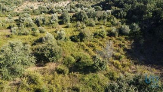 Annonce Vente Terrain Ferreira-do-zezere