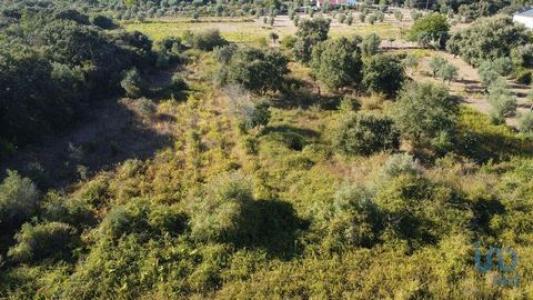 Acheter Terrain 1850 m2 Ferreira-do-zezere