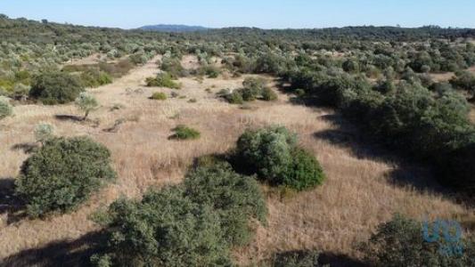 Acheter Terrain 7880 m2 Ferreira-do-zezere