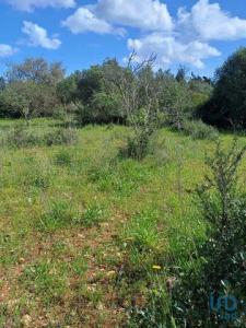 Annonce Vente Terrain Vila-do-bispo