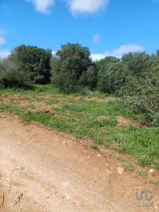 Acheter Terrain 3520 m2 Vila-do-bispo