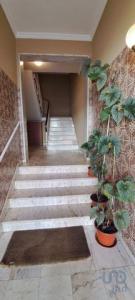 Acheter Appartement 104 m2 Tavira