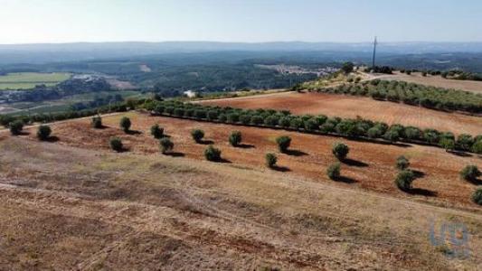 Acheter Terrain Santarem rgion SANTAREM