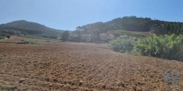 Annonce Vente Terrain Mafra