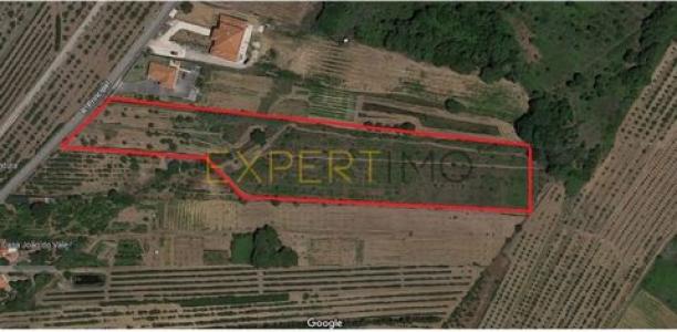 Annonce Vente Terrain Bombarral