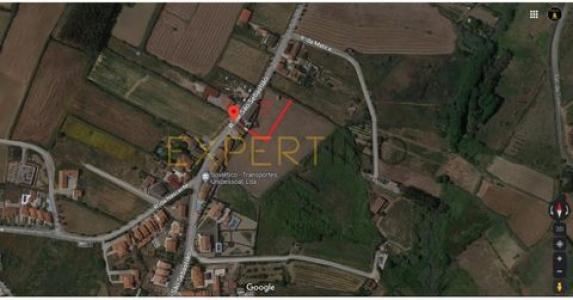 Acheter Terrain 11030 m2 Lourinha