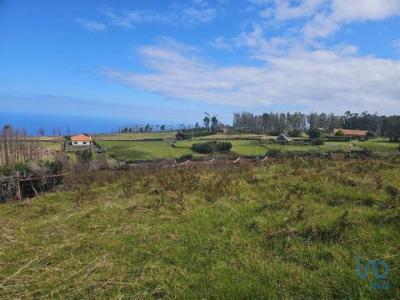 Vente Terrain Porto-moniz ACHADAS-DA-CRUZ 30 au Portugal