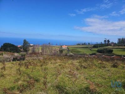 Acheter Terrain Porto-moniz rgion MADEIRA