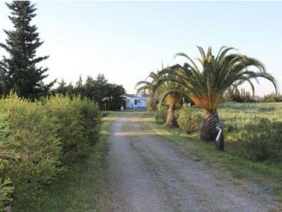 Vente Maison Grandola AZINHEIRA-DOS-BARROS 15 au Portugal