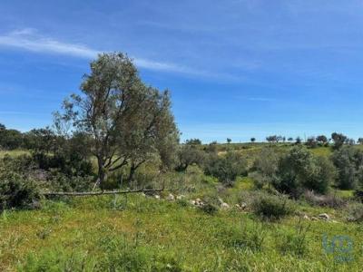 Acheter Terrain 2900 m2 Silves