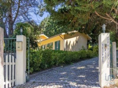 Vente Maison Condeixa-a-nova CONDEIXA-A-VELHA-E-CONDEIXA-A-NOVA 06 au Portugal