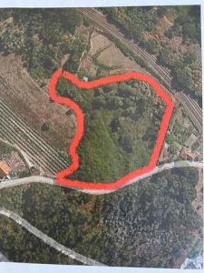 Vente Terrain Aguiar-de-sousa PARADA-DE-TODEIA 13 au Portugal