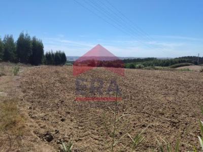 Acheter Terrain 8440 m2 Lourinha