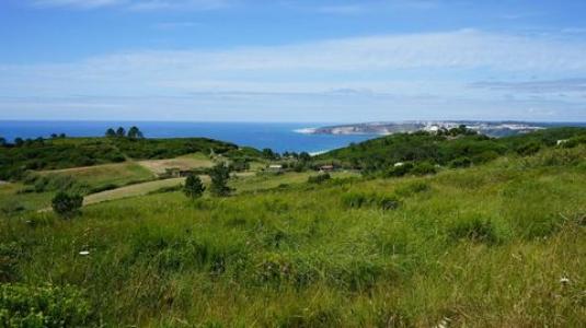 Annonce Vente 3 pices Maison Nazare