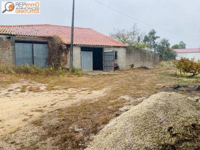 Annonce Vente Terrain Sao-martinho-do-porto