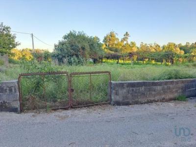 Annonce Vente Terrain Vila-verde