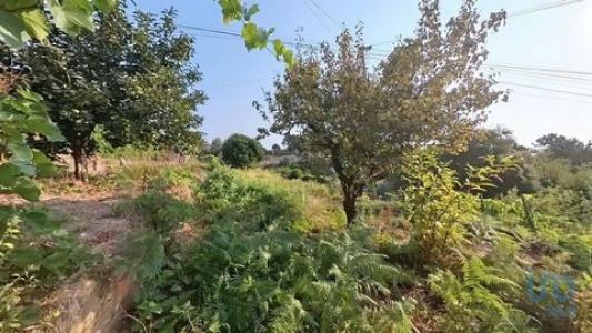 Annonce Vente Terrain Pedrogao-grande