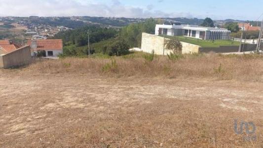 Annonce Vente Terrain Caldas-da-rainha