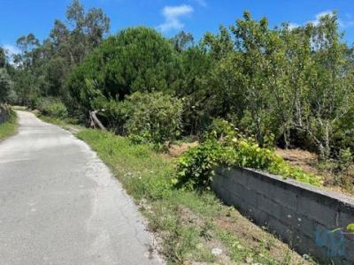 Vente Terrain Agua-formosa SOUTO-DE-CARPALHOSA-E-ORTIGOSA 10 au Portugal