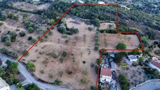 Annonce Vente Terrain Faro