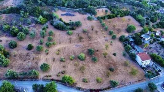 Acheter Terrain 14400 m2 Faro