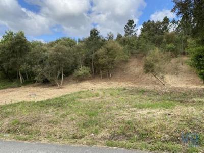 Acheter Terrain 4630 m2 Leiria