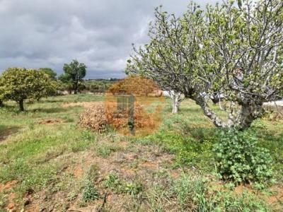 Acheter Terrain Vila-real-de-santo-antonio rgion FARO