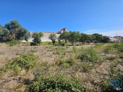 Annonce Vente Terrain Palmela