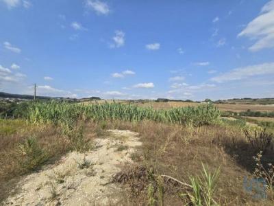 Vente Terrain Alenquer ALDEIA-GALEGA-DA-MERCEANA-E-ALDEIA-GAVINHA 11 au Portugal