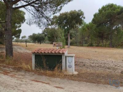 Vente Terrain Ponte-de-sor GALVEIAS 12 au Portugal