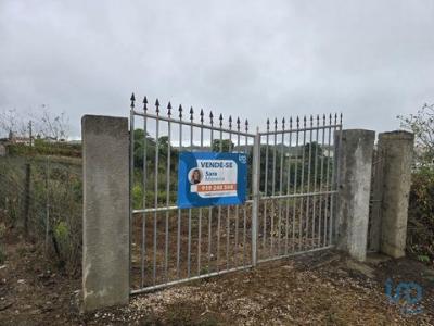 Annonce Vente Terrain Mafra