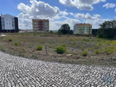 Annonce Vente Terrain Oliveira-do-bairro