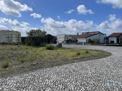 Acheter Terrain Oliveira-do-bairro rgion AVEIRO